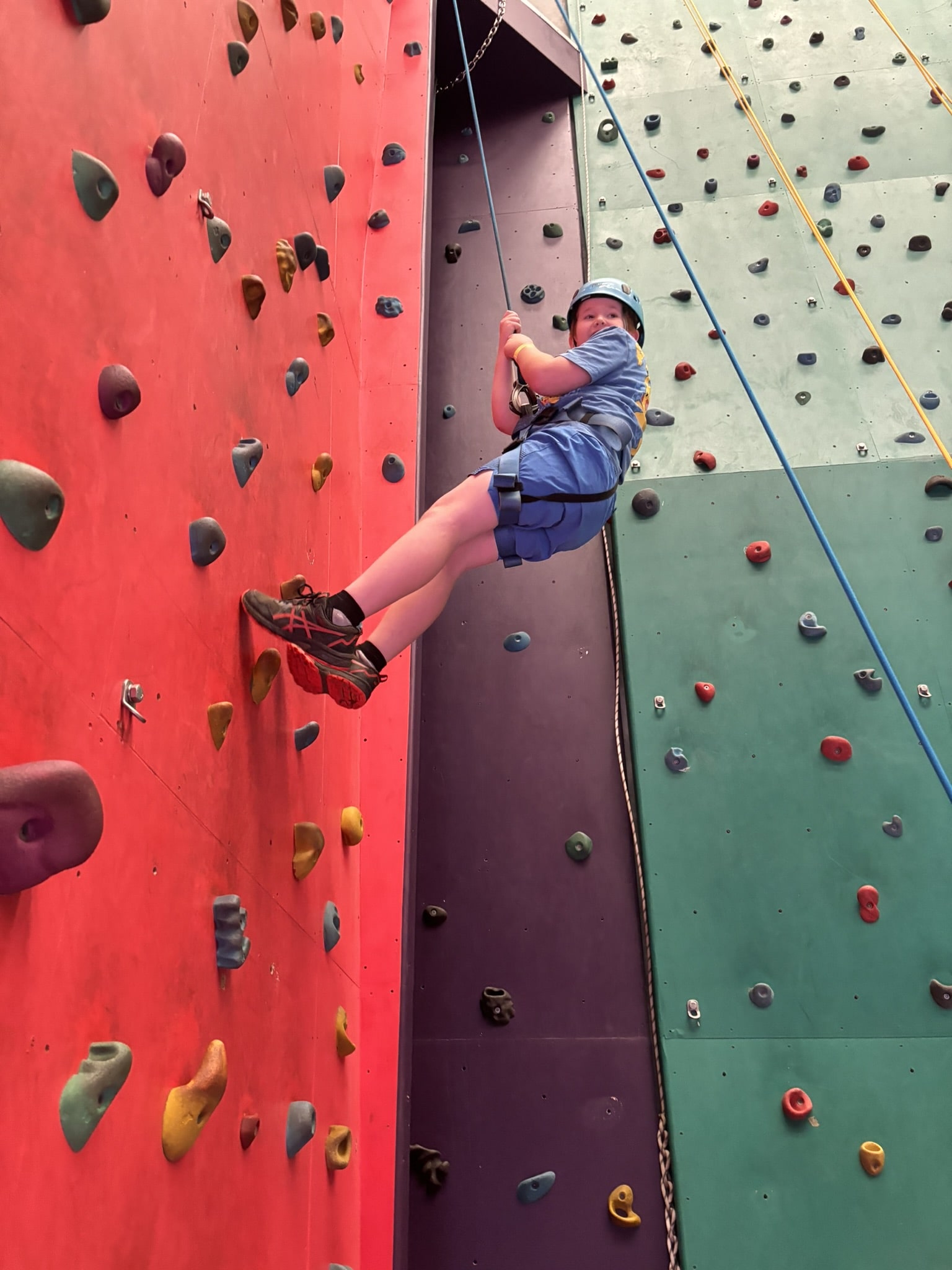 A child wearing a helmet and harness climbing an indoor rock wall